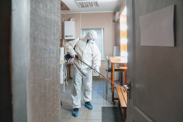 Best Mold-Related Health Consultation  in Hauula, HI