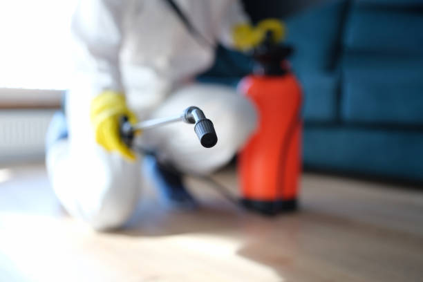 Asbestos and Lead Testing During Mold Inspection in Hauula, HI