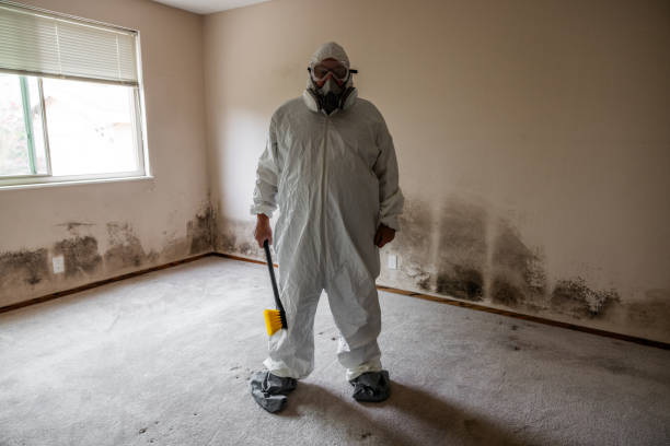 Mold Remediation for Vacation Homes in Hauula, HI